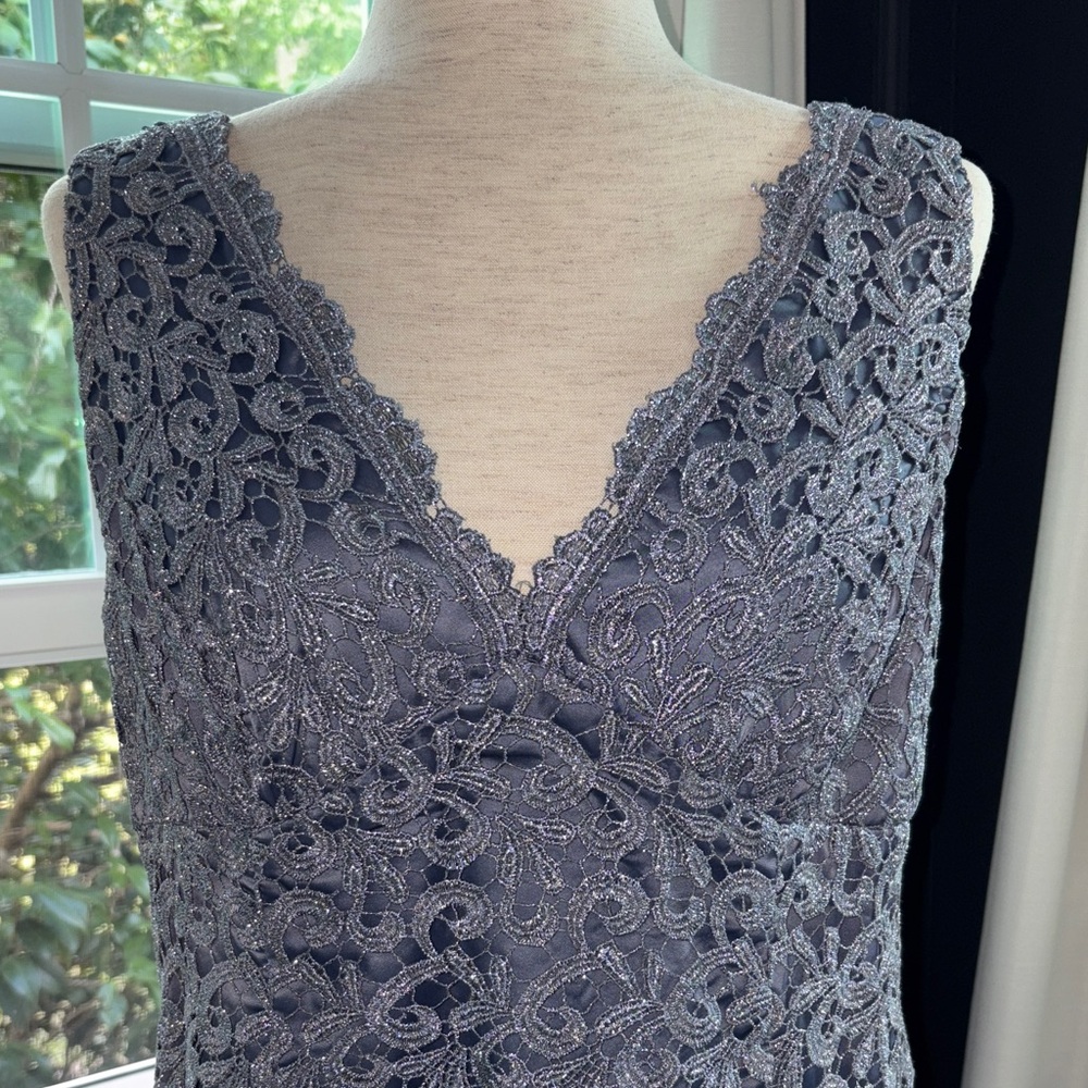 Adrianna Papell Lace Dress in Silvery-Grey “Live from the Red Carpet” Dress